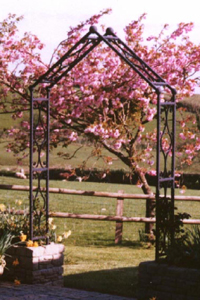 iron garden rose arch