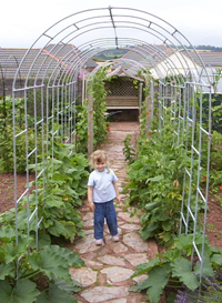 iron garden arch