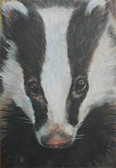 oil painting badger cub