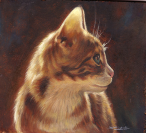 cat and kitten portraits in oils or watercolour