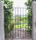 single wrought iron traditional garden gate