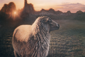 oil painting sheep sunset