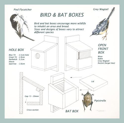 birdboxes