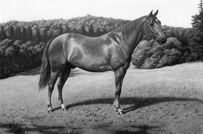 Horse paintings in oils