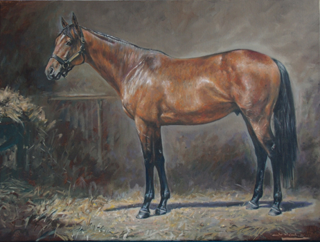 racehorse potrait