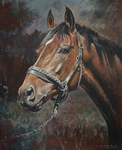 horse porraits in oils